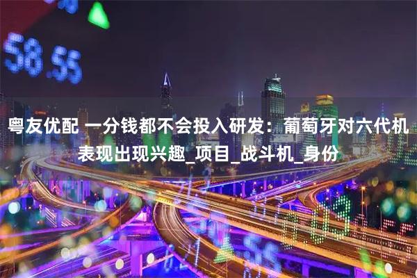 粤友优配 一分钱都不会投入研发:葡萄牙对六代机表现出现兴趣_项目_战斗机_身份