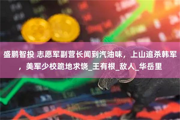 盛鹏智投 志愿军副营长闻到汽油味，上山追杀韩军，美军少校跪地求饶_王有根_敌人_华岳里