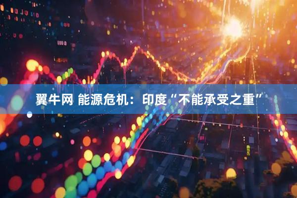 翼牛网 能源危机:印度“不能承受之重”
