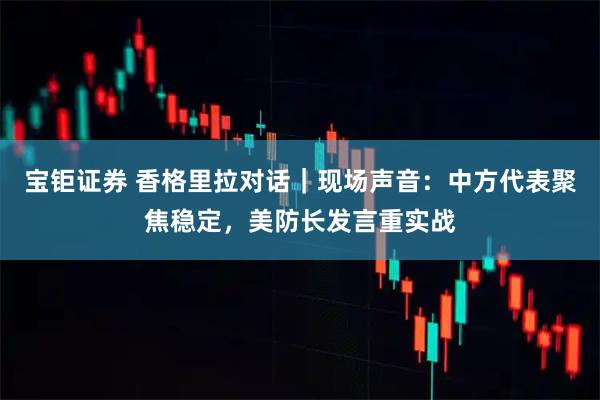 宝钜证券 香格里拉对话｜现场声音：中方代表聚焦稳定，美防长发言重实战