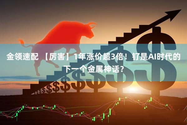 金领速配 【厉害】1年涨价超3倍！钌是AI时代的下一个金属神话？